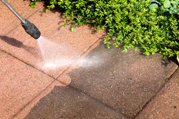 Deck Cleaning Services in Sandia Knolls, NM